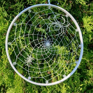 Päikese-unenäopüüdja Ämblikuvõrk
