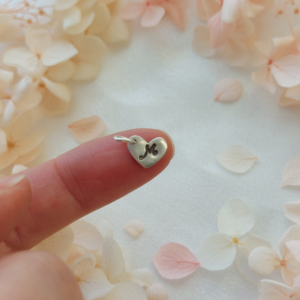 minisüda, nimetähega